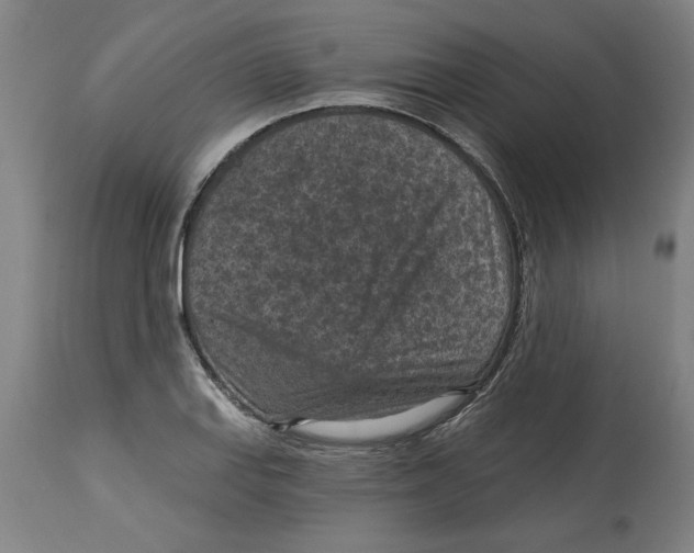 X0000114691127200911181247