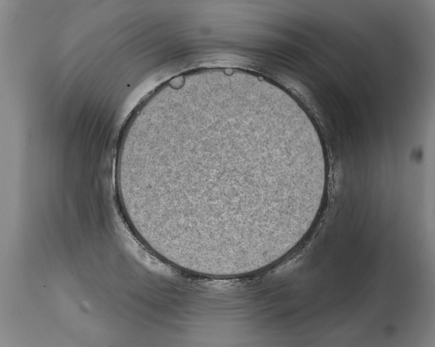 X0000114691130200911181247