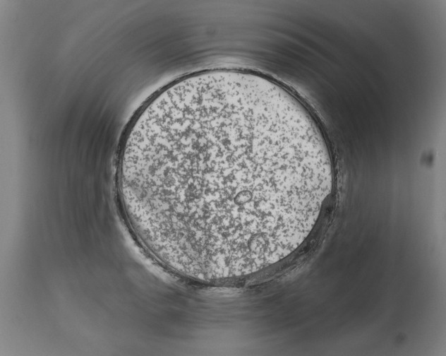 X0000114691134200911181247