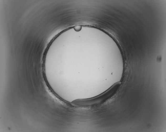 X0000114691135200911181247