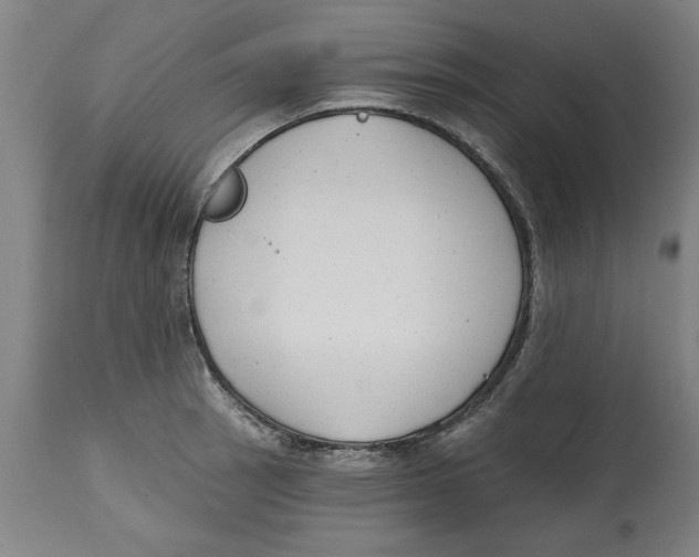 X0000114691137200911181247