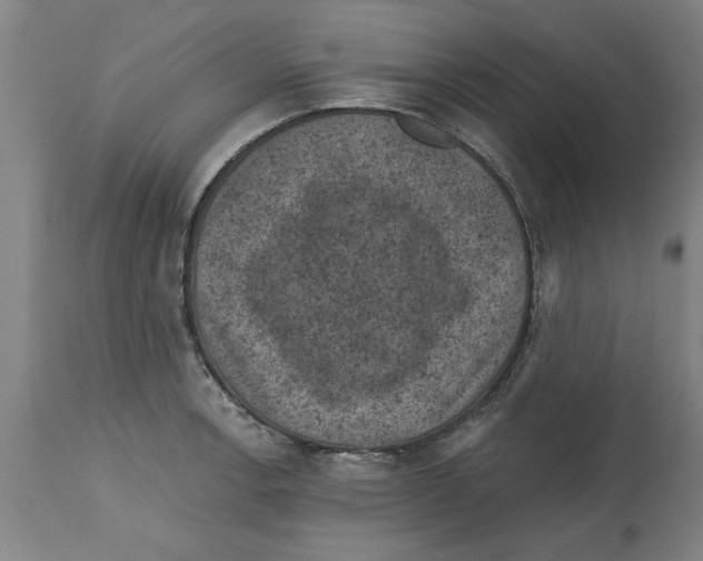 X0000114691138200911181247