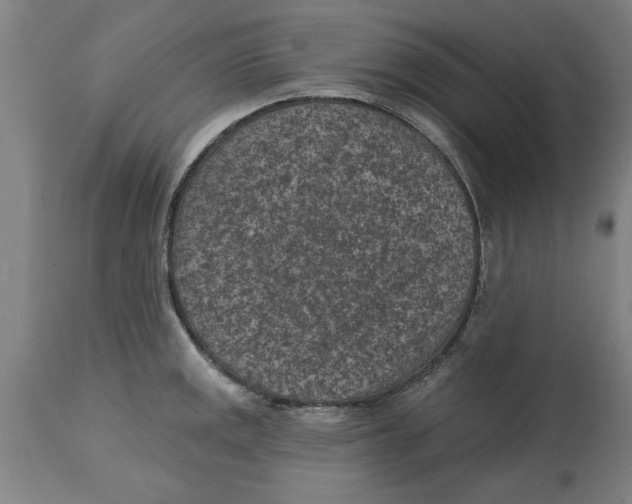 X0000114691141200911181247