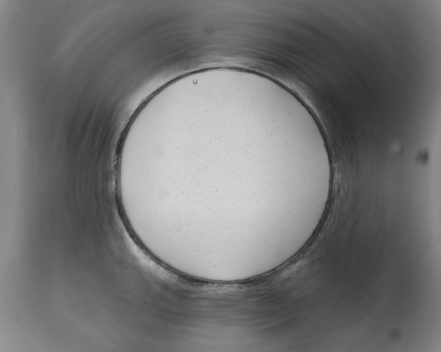 X0000114691143200911181247