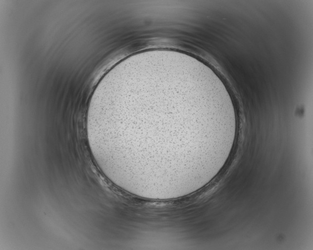 X0000114691145200911181247