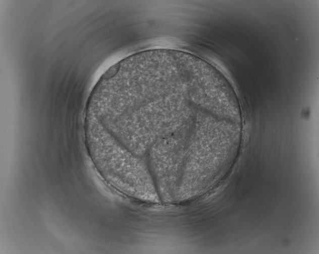 X0000114691146200911181247