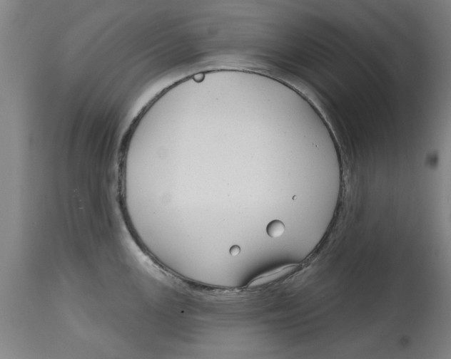 X0000114691147200911181248