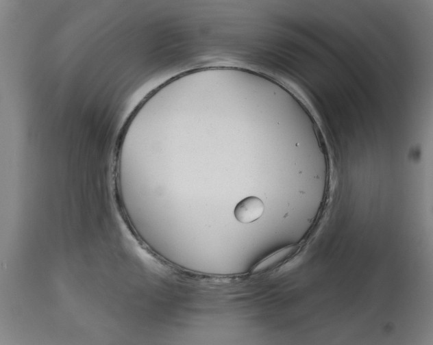 X0000114691149200911181248