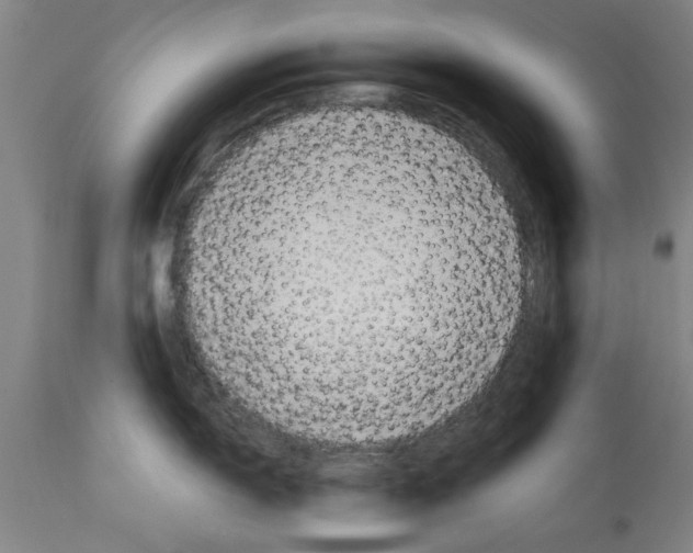 X0000114691150200911181248