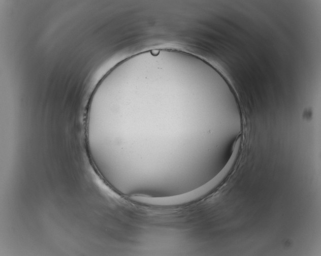 X0000114691151200911181248