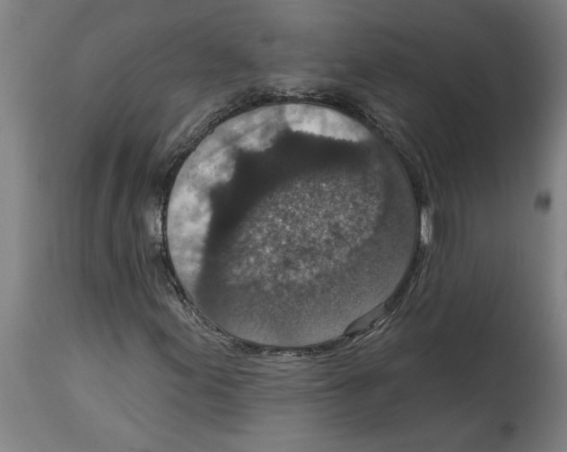 X0000114691155200911181247