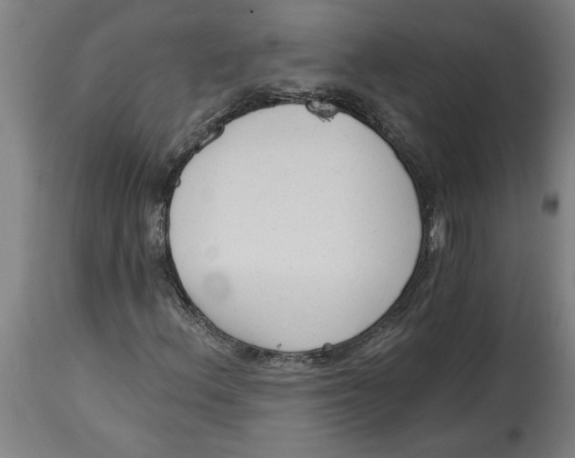 X0000114691156200911181247