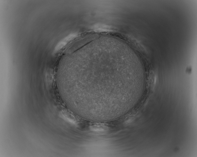 X0000114691157200911181247