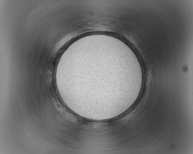 X0000114691163200911181247