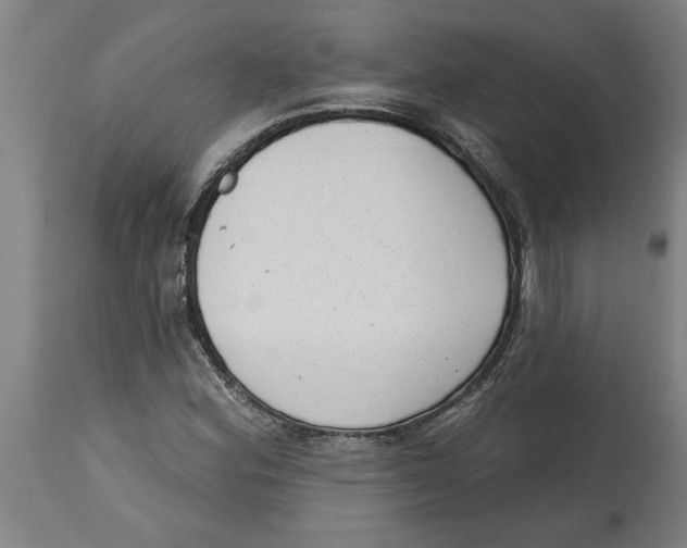 X0000114691164200911181247