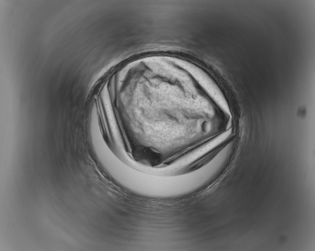 X0000114691165200911181247