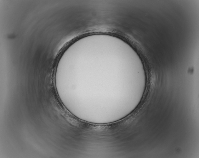 X0000114691166200911181247