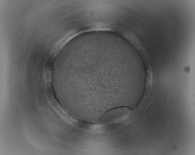 X0000114691169200911181247