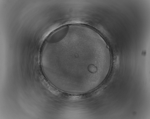 X0000114691173200911181246