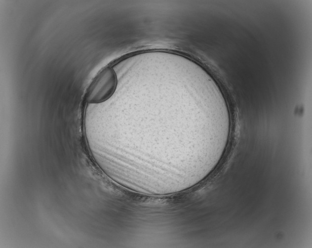 X0000114691174200911181246