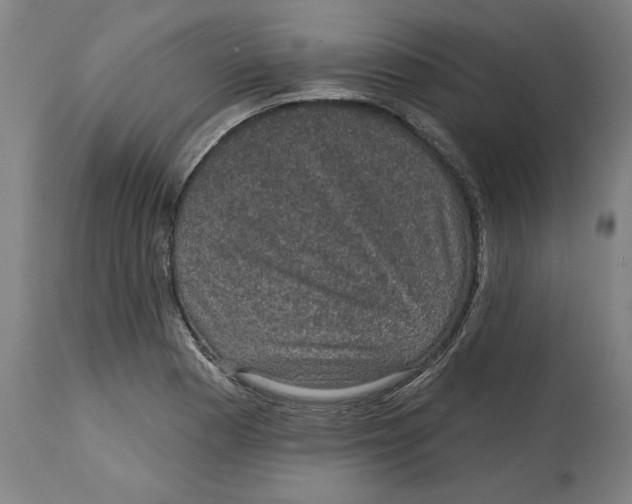 X0000114691177200911181246