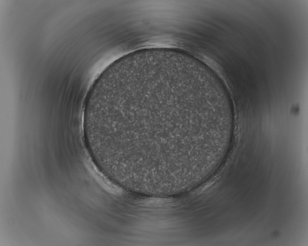 X0000114691179200911181246