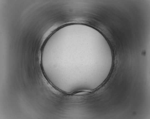 X0000114691180200911181246