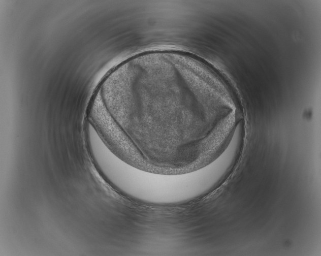 X0000114691181200911181246