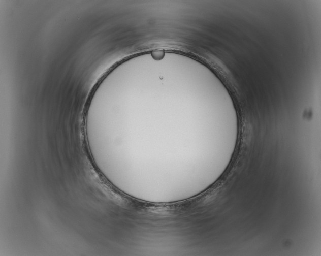 X0000114691182200911181246