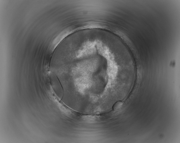 X0000114691185200911181246