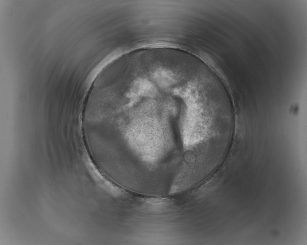 X0000114691189200911181246