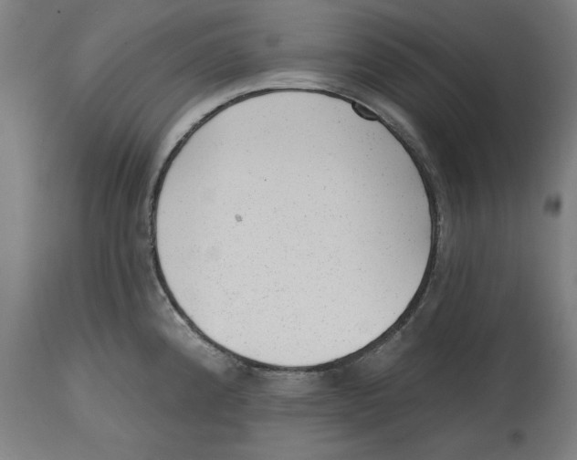 X0000114691192200911181246