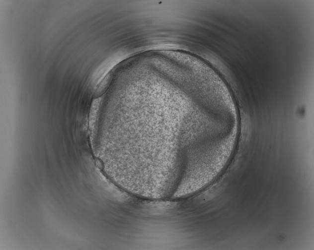 X0000114691193200911181246