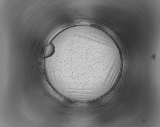 X0000114691194200911181246