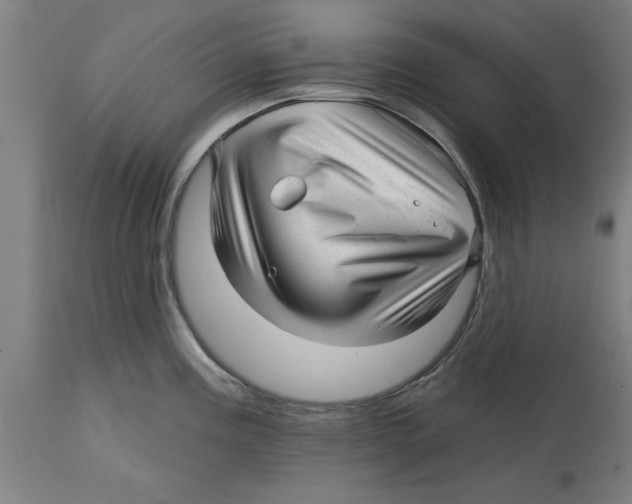 X0000114691195200911181246