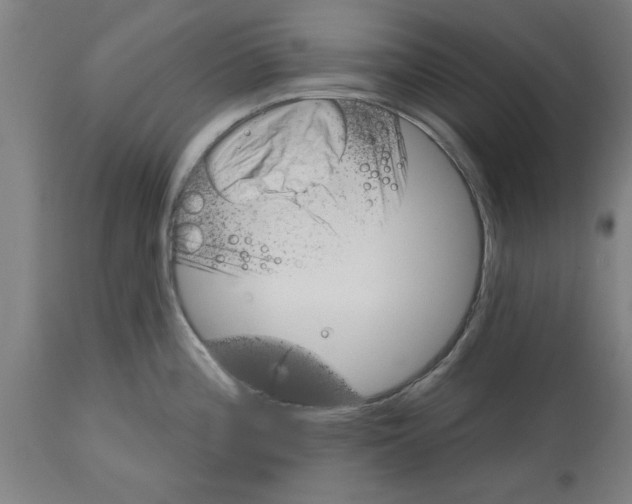 X0000114691196200911181246