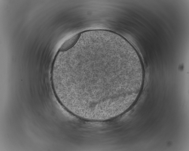 X0000114691197200911181246