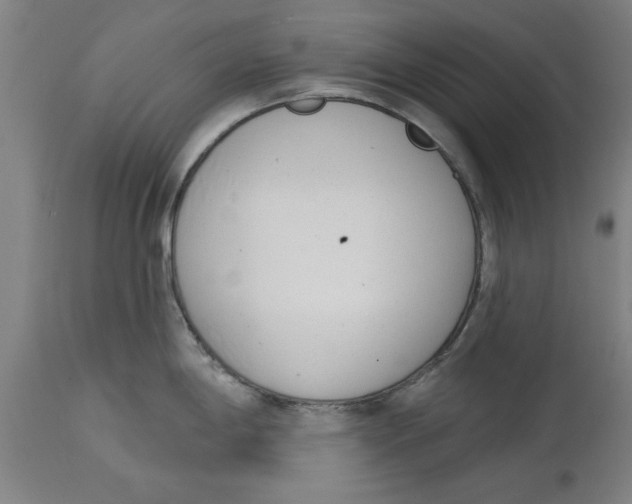 X0000114691198200911181246