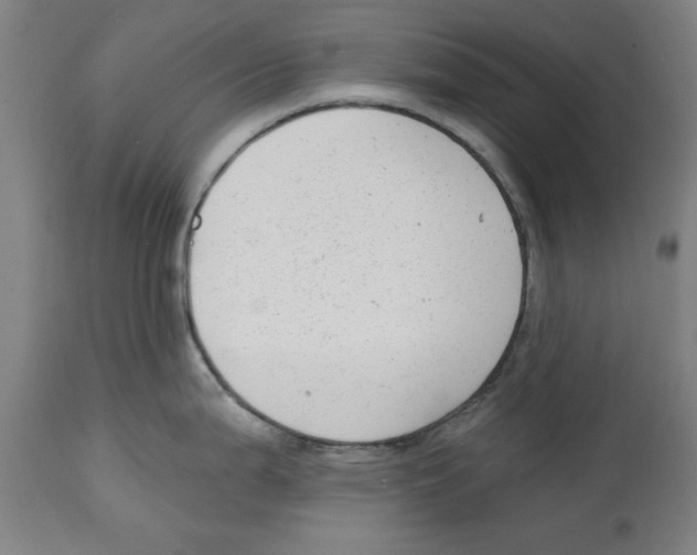 X0000114691199200911181246