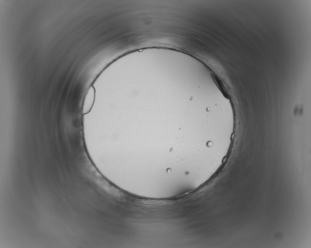 X0000114691200200911181246