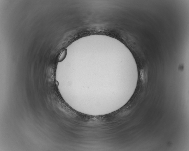 X0000114691203200911181245