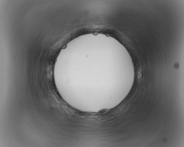 X0000114691204200911181245