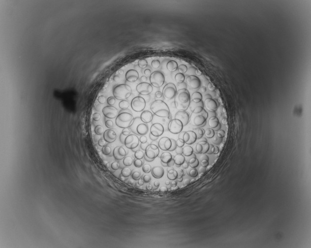 X0000114691205200911181245