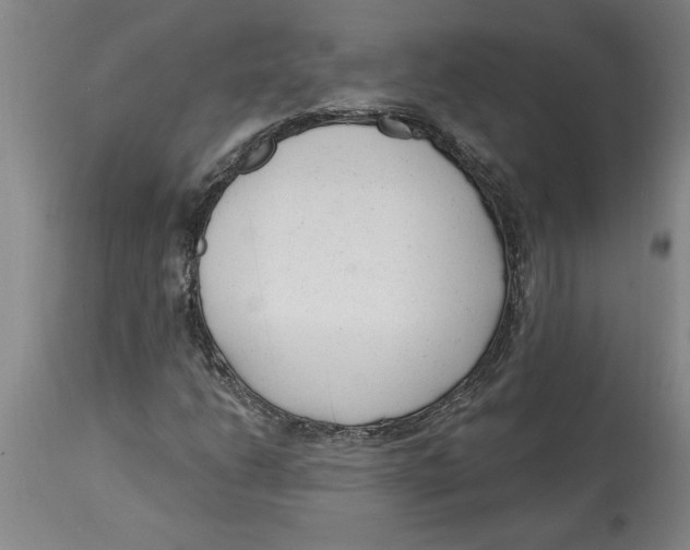 X0000114691206200911181246