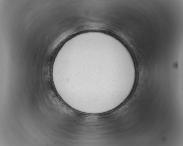 X0000114691211200911181246