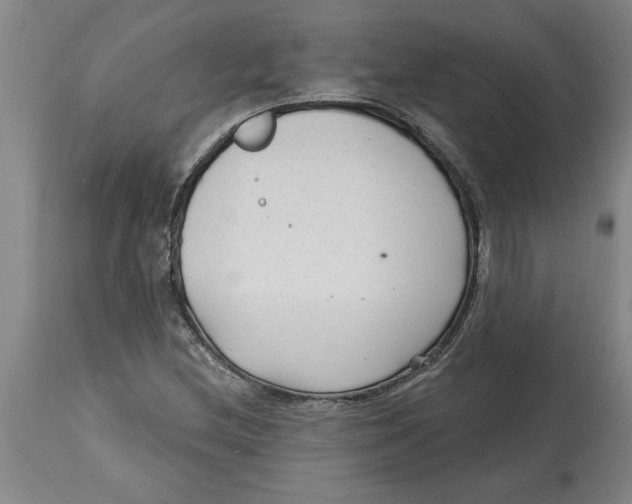 X0000114691212200911181246