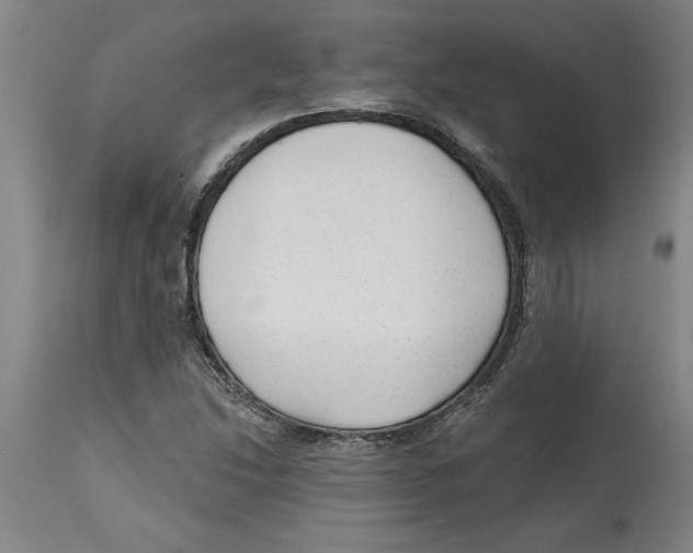 X0000114691214200911181246