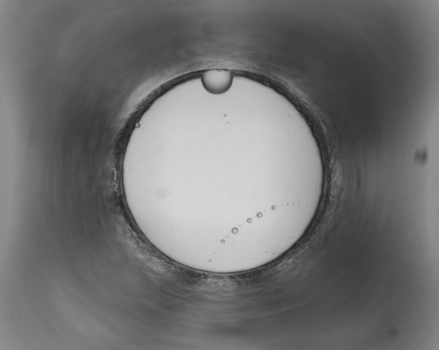 X0000114691215200911181246