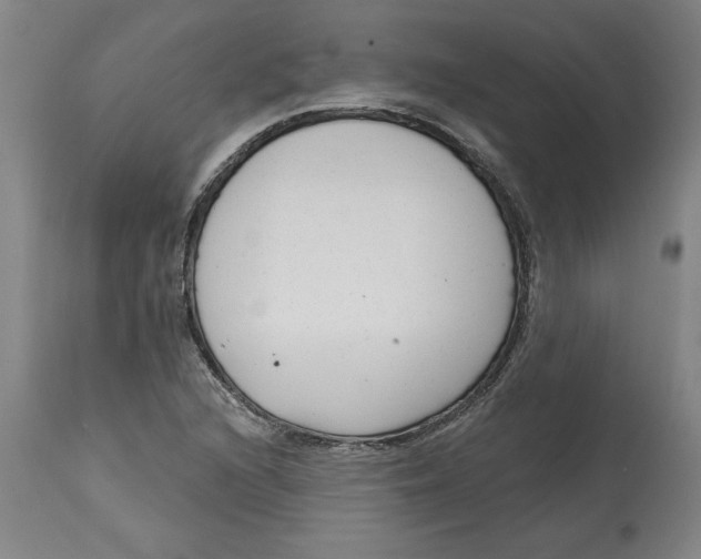 X0000114691216200911181246