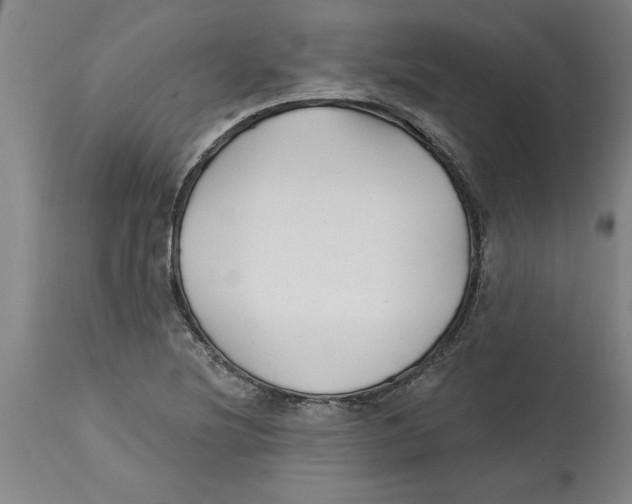 X0000114691220200911181246